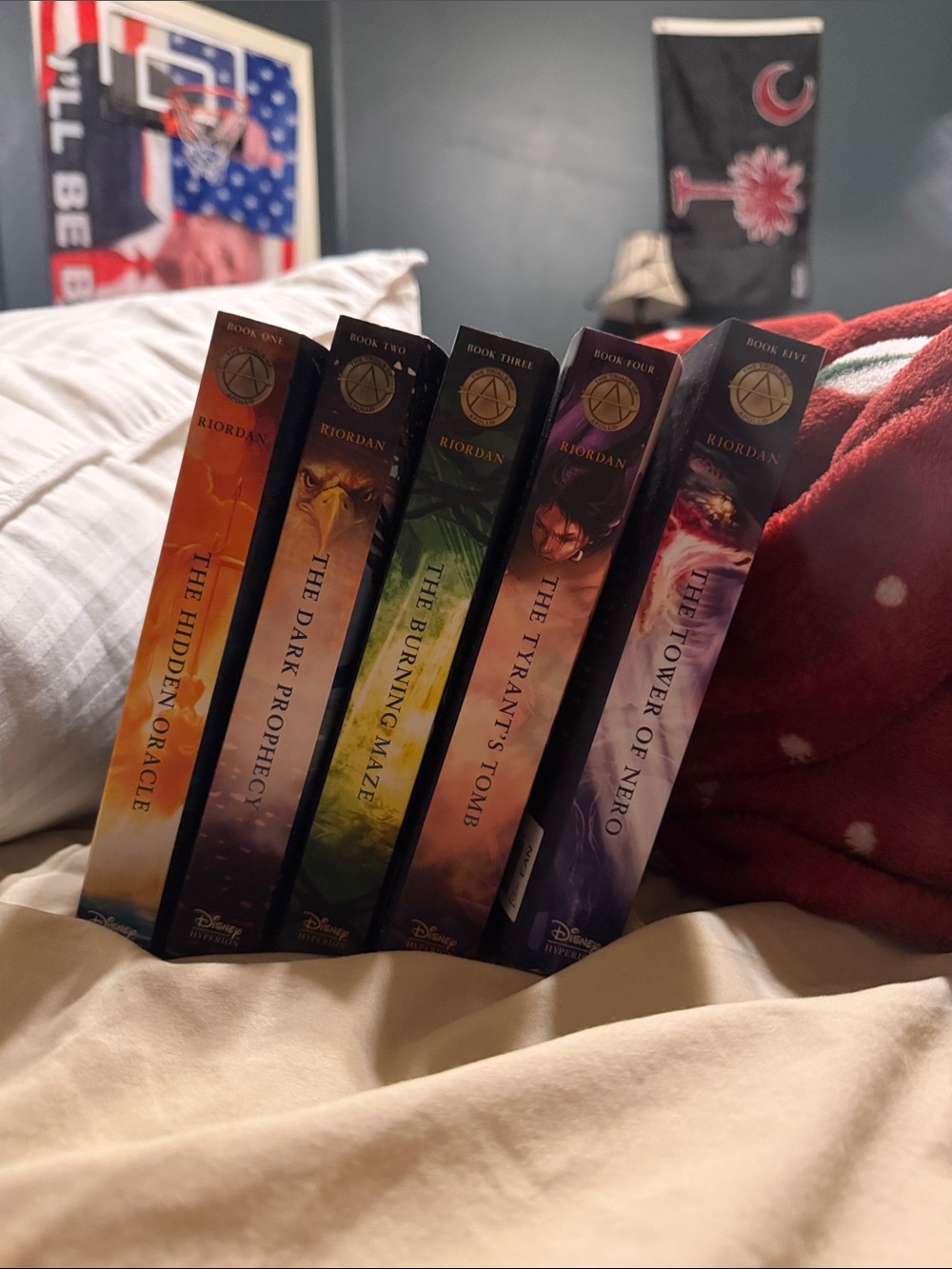 Rick Riordan Book Set - Percy Jackson & The Heroes of Olympus (Multicolor)